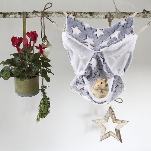 Comfortable breathable hamster - comfortable,