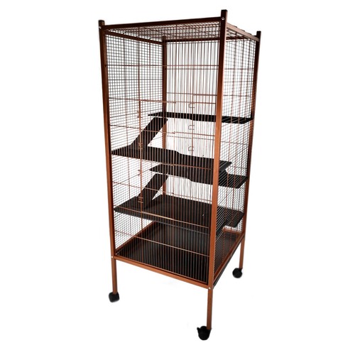 Rat chinchilla ferret - pet, cage