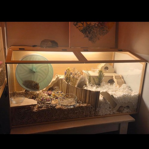 Large wooden hamster cage - cage, with
