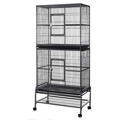 Rat ferret bird - budgie, cage