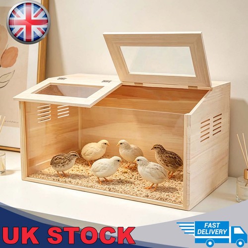 Solid wood small pet - solid,