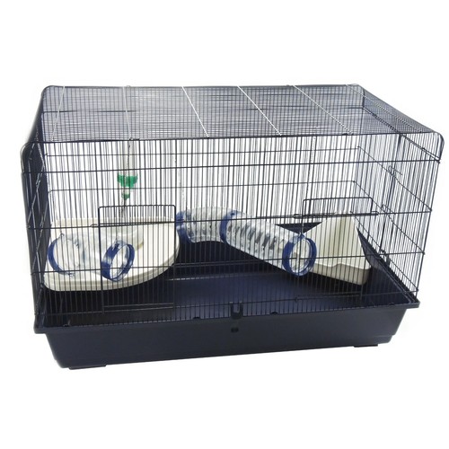Rat syrian hamster cage - hamster,