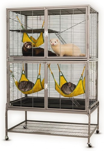 Portable rolling pet ferret - pet,