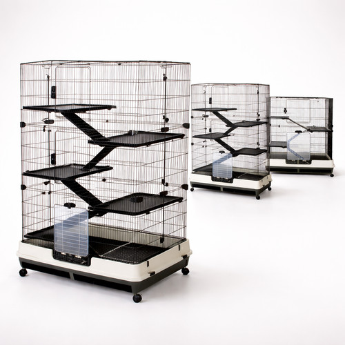 Rat ferret chinchilla - chinchilla, cage