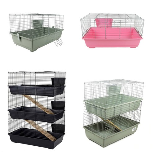 Rabbit guinea pig small - rabbit,