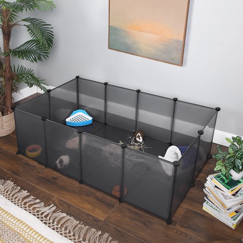 Pet exercise play - pet,