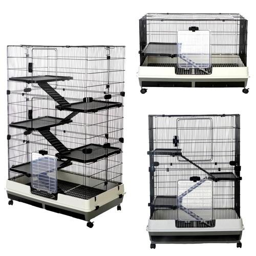 Rat ferret chinchilla - ferret,